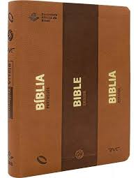 Bblia Trilngue - NAA/ESV/RVC Luxo Marrom