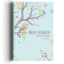 Biblia Nvi Um Tempo Especial Com Deus Capa Dura
