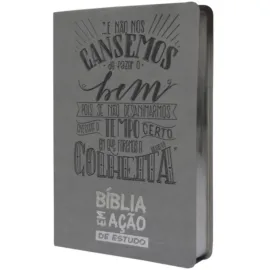 B�blia Em A��o De Estudo luxo cinza