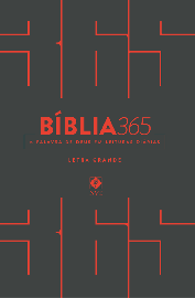 Bíblia NVT 365 letra grande – LG cinza