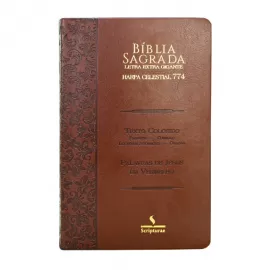 Bblia Com Harpa 774 Pjv Letras Extra Gigante Texto Colorido Palavras De Consolo Em Azul Profecia Em Verde - Marrom