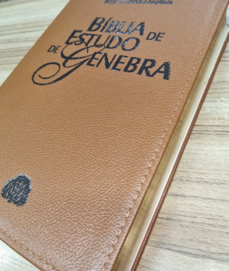 Imagem 1
