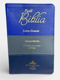 Santa Biblia Luxo Bicolor Con Concordancia Espanhol 1960 Reina Velera