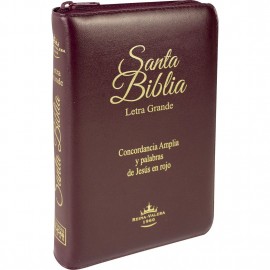 Santa Biblia con Concordancia Espanhol Ziper Com Indice