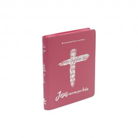 B�blia NAA Ziper - Linha Ouro Rosa