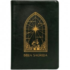 The Purpose Book: Bblia Sagrada, A21, Couro soft, Janela Verde Luxo