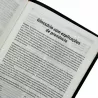 Imagem 7