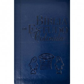 Biblia Colorida Azul Luxo