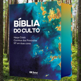 Biblia Do Culto Pequena Ilhas Harpa E Corinhos
