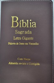 Bíblia Letra Grande Luxo Estrela Econômica P.J.V 