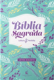 Biblia Nvi Leitura Perfeita Letra Gigante Ramos 