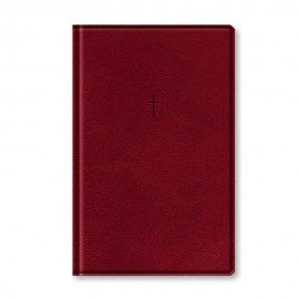 B�blia Naa Slim Vinho, De Jesus, Vol. Fisica. Editora Vida, Capa Mole, Vers�o Almeida Atualizada NAA