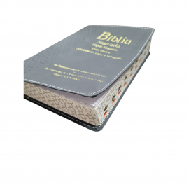 Biblia Hiper Gigante Luxo Com Harpa Palavra de Deus em Azul Jesus em Vermelho Lateral Artistica