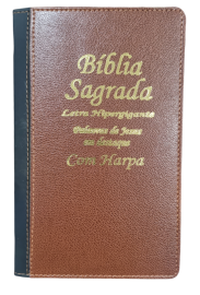 Biblia Hiper Plus Luxo Bicolor Com Harpa Lateral Dourada KCP