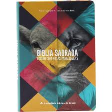 B�blia NTLH com Notas para Jovens Leao