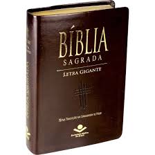 Biblia letra gigante ntlh luxo marrom nobre