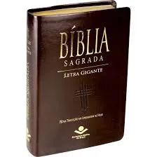 Biblia Letra gigante ntlh luxo marrom nobre Sem Indice