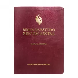 B�blia Pentecostal de Estudo Media Com  Harpa Vinho Luxo