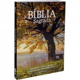 Biblia Nova Almeida Atualizada Brochura