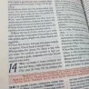 Imagem 5