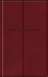 Bblia Slim NVI Vinho