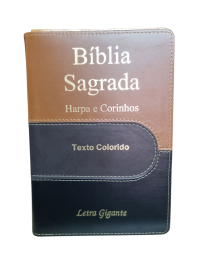 Bblia Letra Gigante Ziper Lateral Dourada Tricolor Com Harpa Full Collor CPP