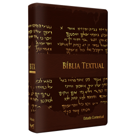  B�blia De Estudo BTX Textual Marrom Luxo