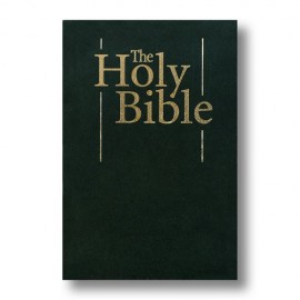 Biblia The Holy Bible Capa Verde Brochura