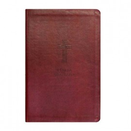 B�blia Luxo Letra gigante NVI - Vinho