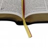 Imagem 8