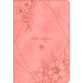Biblia Sagrada Nvt - Luxo - Salm�o