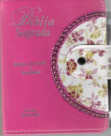 Biblia Tijolinho-L. Grande-C.Harpa Caneta CPP