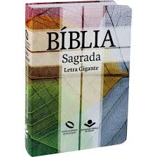 BIBLIA NOVA ALMEIDA LETRA GIGANTE CRUZ