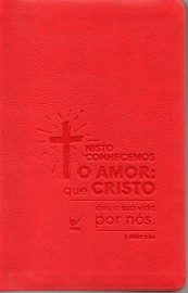 Biblia Aec Almeida Contemporanea Cruz Verme Slim 