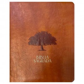  B�blia Mulheres Viviane Martinello NVT Espa�o Para Anota��es Uma Coluna Figueira Caramelo 