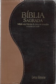 Biblia Letra Gigante Pjv Luxo RC Bicolor Sbb