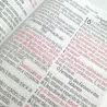 Imagem 5