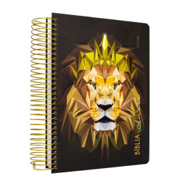 Biblia Anote nvi Le�o geom�trico espa�o p. anota��es