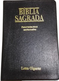 Biblia lLtra Gigante Luxo PJV Media - Sbb