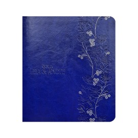 B�blia Leia e Anote NVT Letra Normal Capa Luxo Azul
