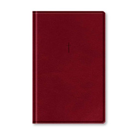 B�blia Naa Slim Vinho, De Jesus, Vol. Fisica. Editora Vida, Capa Mole, Vers�o Almeida Atualizada NAA