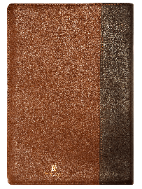 B�blia NVI com Espa�o para Anota��es, Letra Grande, Couro soft, Dois tons de Marrom