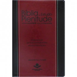 Bíblia Plenitude Preta E Vinho Rc Luxo