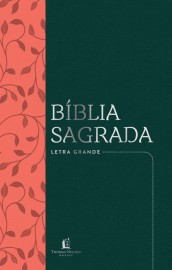 B�blia NVI, Couro Soft, Verde c. Salm�o, Letra Grande, Leitura Perfeita