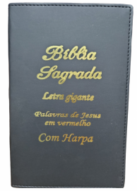 Bíblia Letra Gigante Econômica  Luxo Com Harpa Lateral Pintada