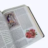 Imagem 6
