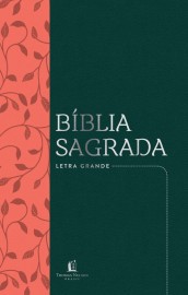 Bíblia NVI, Couro Soft, Verde c. Salmão, Letra Grande, Leitura Perfeita