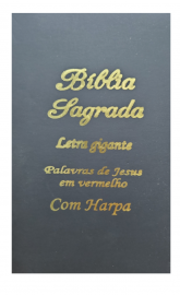 Bíblia Letra Grande Zíper Econômica Lateral Pintada