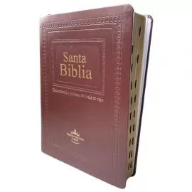 Santa Biblia con Concordancia Marrom Letra Gigante palavras de Jesus em vermelho com ndice