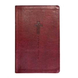 B�blia Luxo Letra grande NVI Vinho